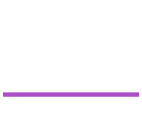 MS multimedia - agencja interaktywna